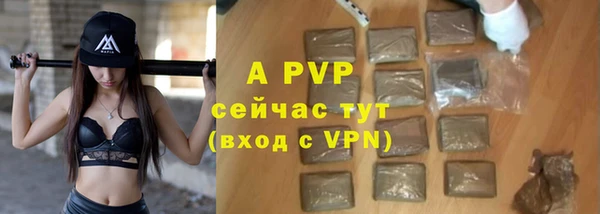 амф Ельня