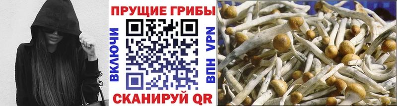 Галлюциногенные грибы Magic Shrooms  гидра ссылка  Цивильск 